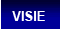 Visie